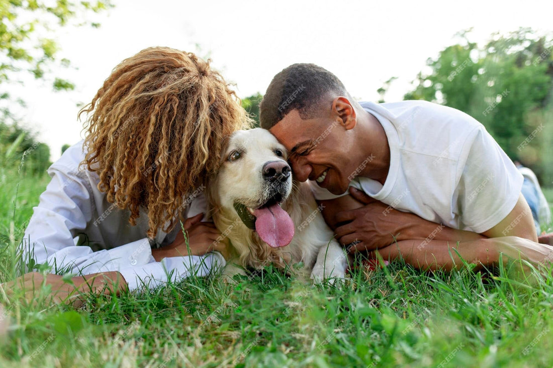 Dogs Make Us Better People in More Ways than One.