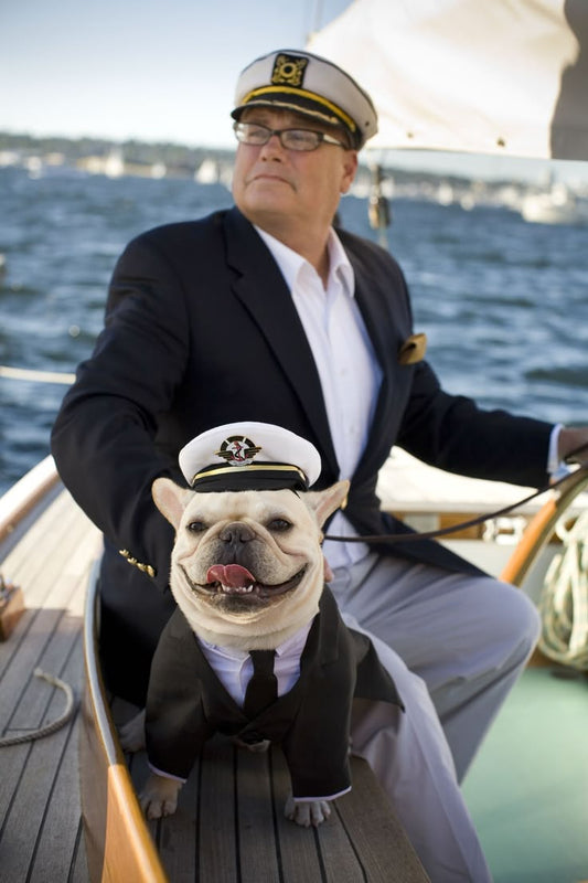Wealthy People cherished Dogs.