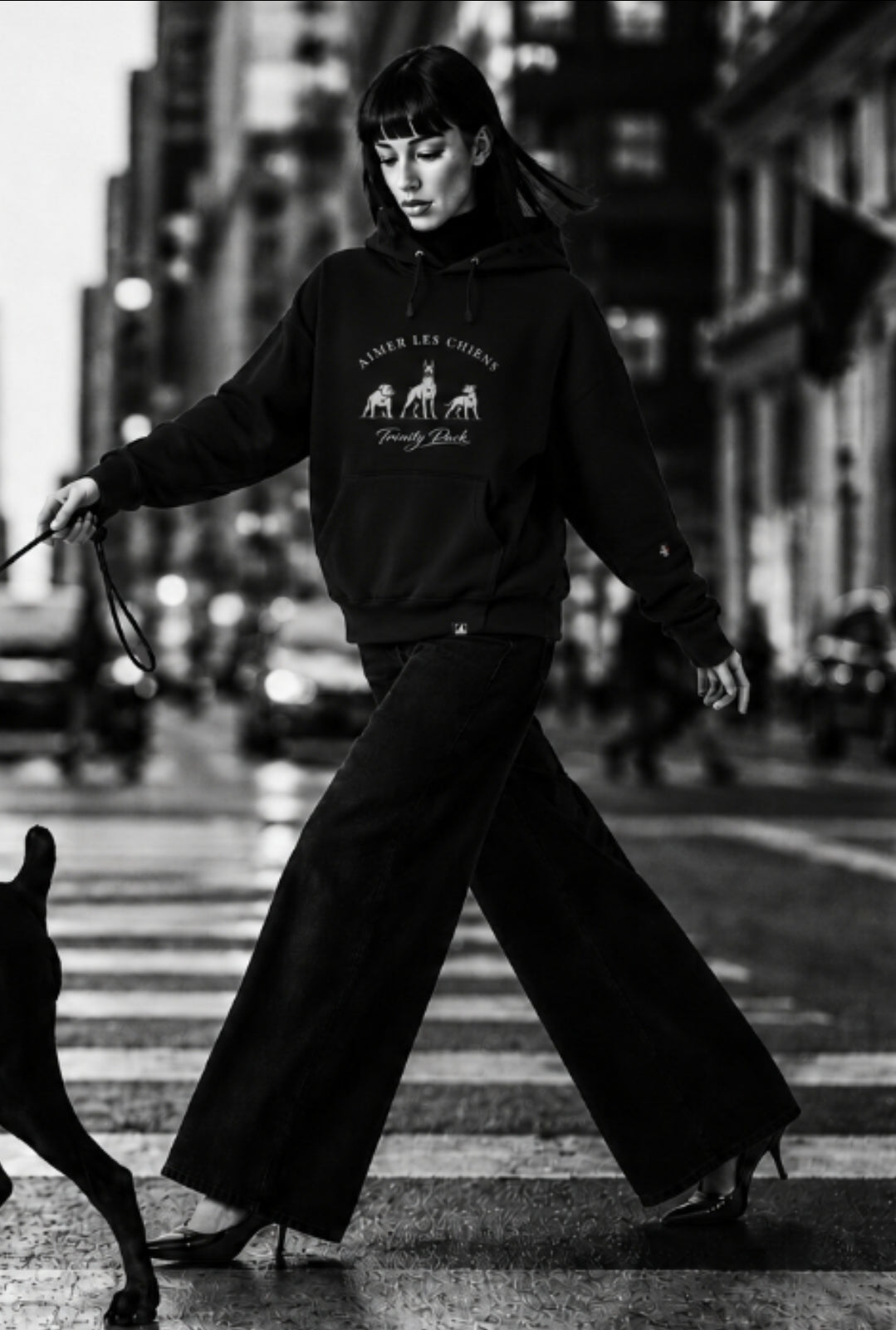 Trinity Crest Premium Hoodie