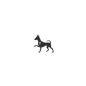SAINT DOGGÉ™